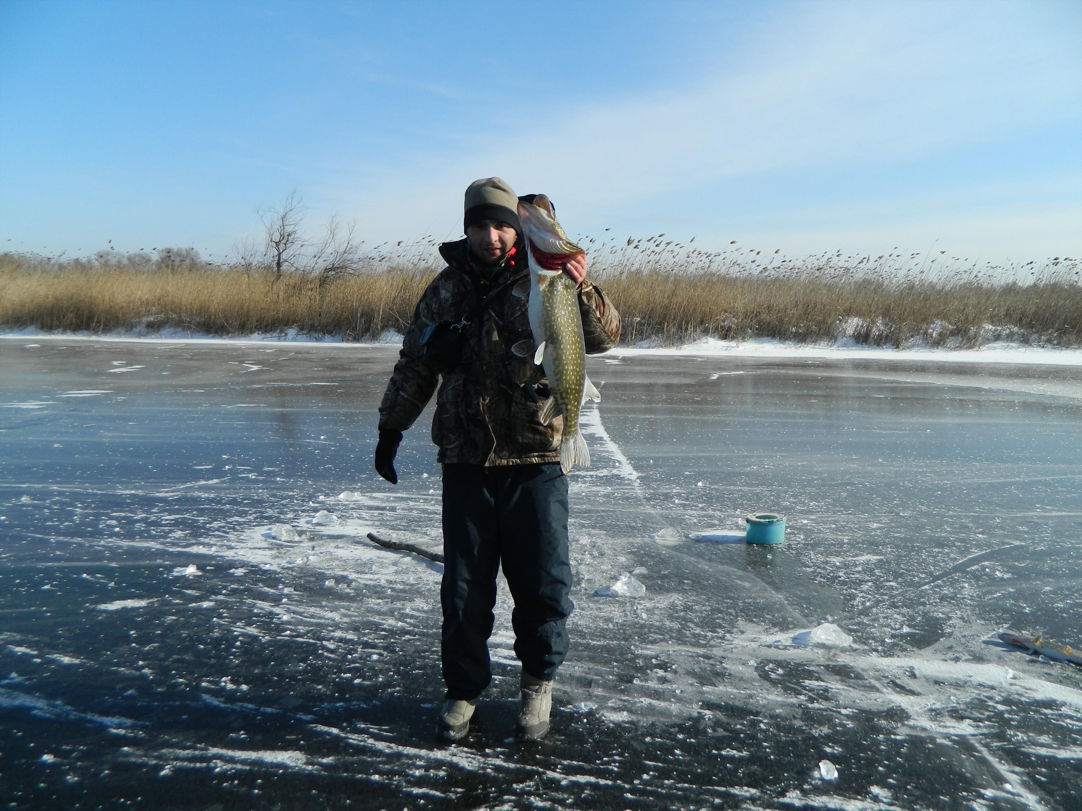 Delta - mulineta 166.jpg